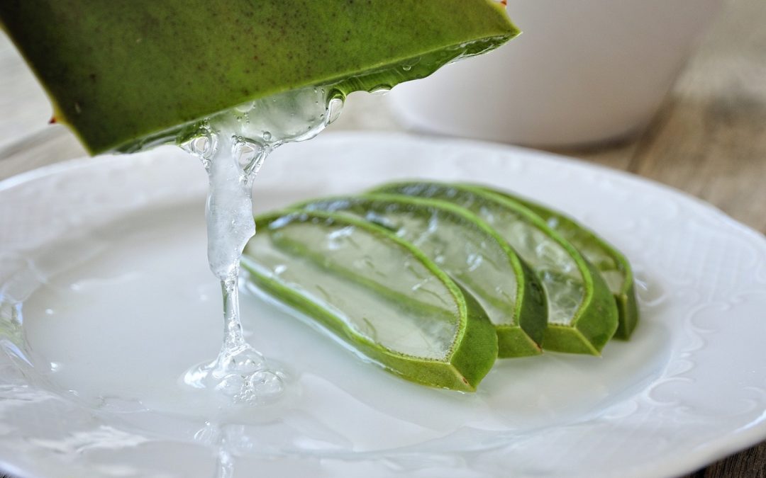 Comment et pourquoi faire un masque aloe vera cheveux ?